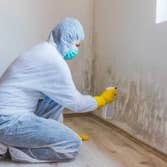Photos by Mold Remediation Lancaster #1