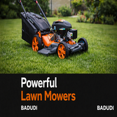 Badudi