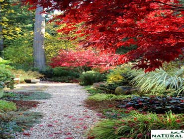 Natural Landscape and Irrigation Project