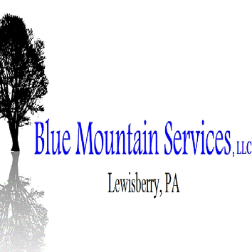 Blue Mountain Services