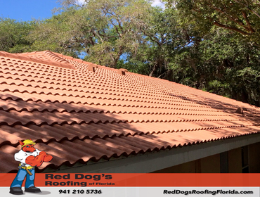 Photos by Red dog's Roofing of Florida #1