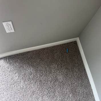 Photos by Instant Flooring #1