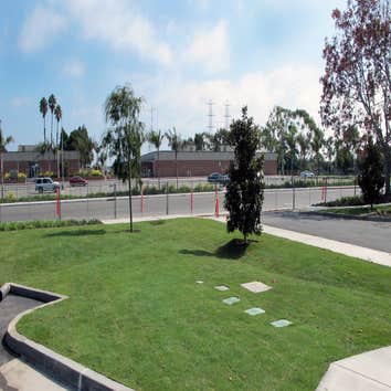 Edison Community Complex New Construction, Install 3 Soccer Fields, Planters and New Irrigation