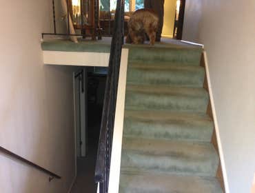 Before rail and steps