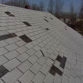 Wind Damage