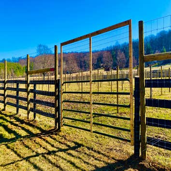 Vineyard Fence and Gate