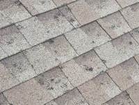 Photos by 360 Innovations Roofing #1