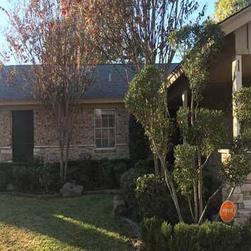 Denton Tree Service