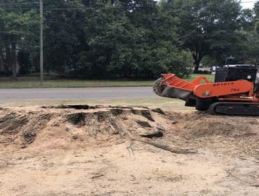 Photos by Palmer Tree Service #1