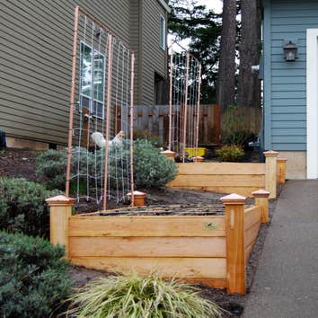 Front yard garden Space constrained city lot with sun only along the driveway. We installed a terraced set of two beds.