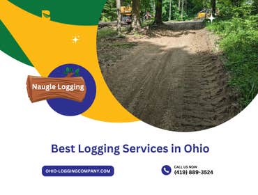 Photos by Naugle Logging #1