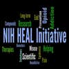 international health service on logo