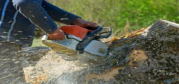 Photos by Roswell Tree Services Co #1