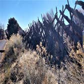 Wood Fence
