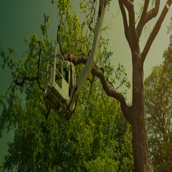 Epic Landscaping & Tree Service, LLC