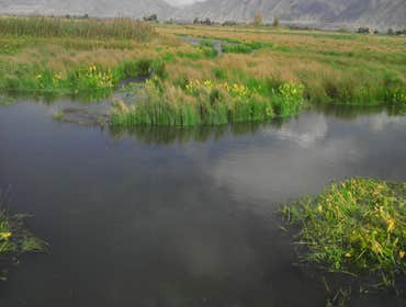 Kelson, Cardon, Ogden River Restoration & Wetland The Kelson Estate Landscape, Cardon Pond construction, Cache Valley Wetland Restoration and the Ogde