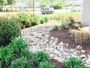 Photo(s) from Yard Service Landscape Experts Inc