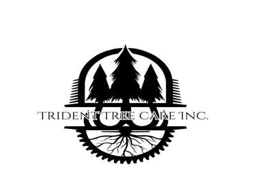 Photos by Trident Tree Care Inc #1