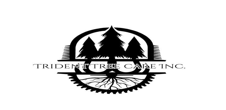 Photos by Trident Tree Care Inc #1
