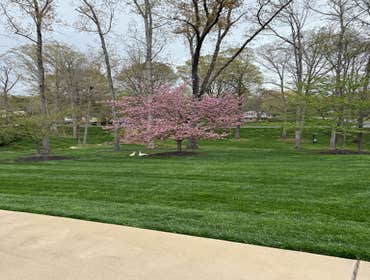 Photos by Hernandez ASSOC. Landscaping