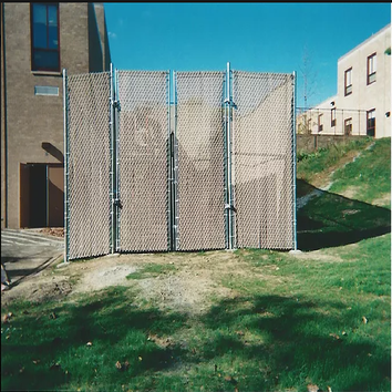 Chain Link