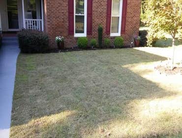 Photos by Affordable Landscape & Irrigation LLC #1 Landscape, Lawn Care Maintenance & Irrigation