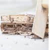 Thrill Capital Termite Experts logo