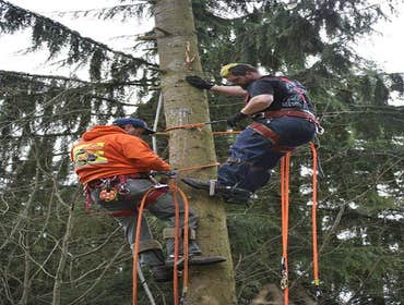 Photo(s) from Flawk Tree Service