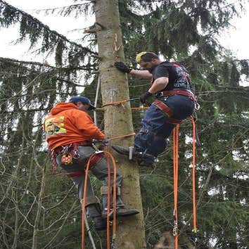 Photo(s) from Flawk Tree Service