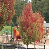 Shore Pine Landscape Service