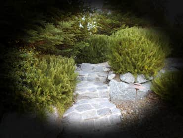 Five Seasons Landscape Construction Project 1 We do commercial all the way to Courtyard size yards
Our motto is "There's always a special season for y
