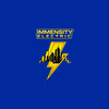 Immesity Electric logo