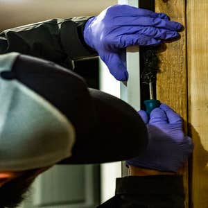 Photos by Green Shield Pest Solutions #1 We use family and pet-friendly products to eliminate pests from your home or business.