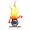 Friedman and Son Inc logo