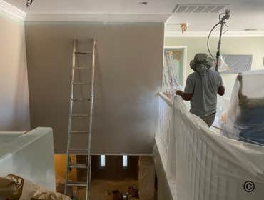 Photos by Professionals Painting #1
