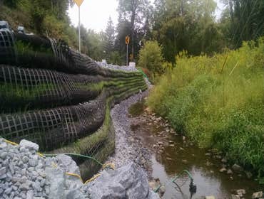Francis Cadden Stream Bank Restoration