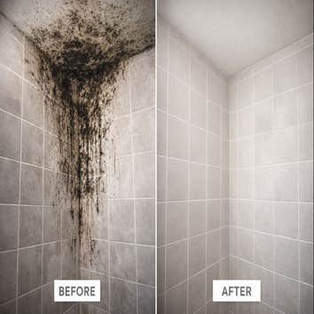 Mold Removal Hampton