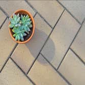 Pacific Concrete Patio and Driveway