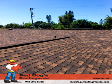 Photos by Red dog's Roofing of Florida #1