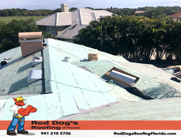 Photos by Red dog's Roofing of Florida #1