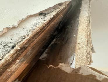 Water Mitigation This project was a roof leak the photos show initial inspection to post demo.
