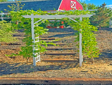 Photos by Mullaney Landscape #1