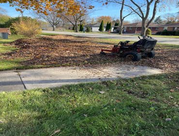 Photos by an Lopez´s Landscaping #5