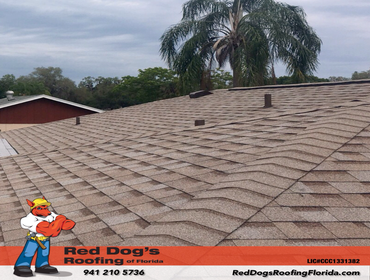 Photos by Red dog's Roofing of Florida #1