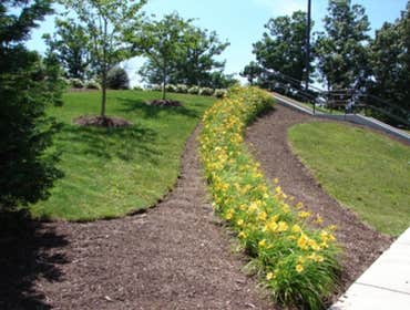 Landscaping Estes goes the extra yard to give you the best customer service possible. We take the time to understand your vision, so that together we c