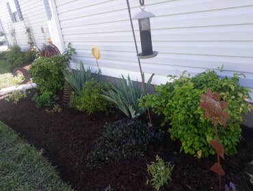Photos by Bamaca Landscaping LLC #1