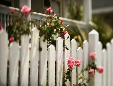 Fences