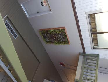 Page St Succulent Panel