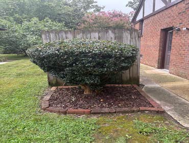 Photos by Beauty Meister Landscaping LLC #2