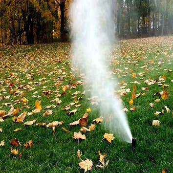 Photos from Catalyst Landscape Solutions